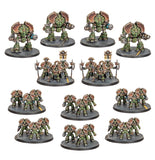 L/I Saturnine Heavy Assault Cadre