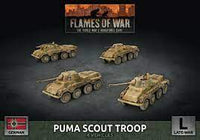 Puma Scout Troop