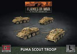 Puma Scout Troop