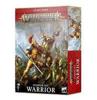 Age of Sigmar Warrior starter set